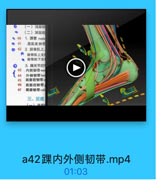 (一)浅風辑
(二)深层结
→ 40 1. 跟管 matie
● 41-屈肌支持带
● 42 2.排骨肌上、
腓骨肌上支
·排骨肌下支
3.颗关节的

43

内側韧带me

44

外侧韧带lato

45

距腾前韧带

46

距排后韧带:

47

畢排韧带 cal
三、足底

a42踝内外侧韧带.mp4

01:03
