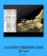 a25足部关节跳跃韧带分歧韧
带.mp4