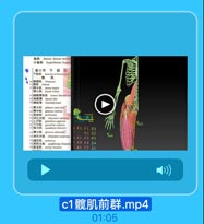 髋 肌 前 群 .mp4