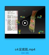 足 底 肌 .mp4