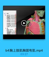 胸 上 肢 肌 胸 固 有 肌 .mp4