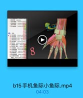 手 机 鱼 际 小 鱼 际 .mp4