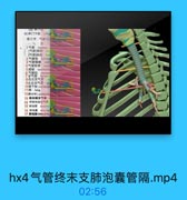 气 管 终 末 支 肺 泡 囊 管 隔 .mp4