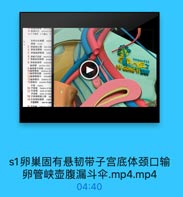 s1卵巢固有悬韧带子宫底体颈口输