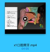 口 腔 腭 牙 .mp4