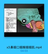 鼻 咽 口 咽 喉 咽 咽 肌 .mp4