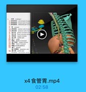 食 管 胃 .mp4