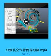 t9蜗孔空气骨传导动画.mp4