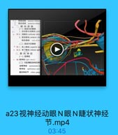 a23视神经动眼N眼N睫状神经节.mp4