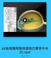 a5脉络膜周隙视盘陷凹黄斑中央凹.mp4