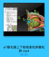 ◎a晶状体系银帶(mPo中
453.號璃体(vitroouctody
第二节 眼 副器
46 年副器(acceomiry ergans of rye)
4眼稅(plprbrae)
48 雙毛牌(riliary slanl),克称Mall
哈班(tare)

ECE 33

4上龄報 wpenar trsn
纯下時板 ferior tansds
料上始報肌seperior taesalis
早數根牌{tarial lanl)
验内侧精带modial palpebral ligar
睡外侧精带 lateral palpebeal ligam

D 品结膜(conjanctisa)
1. 监结膜[paipebral Gontt-rctia
2. 球精膜[buiber conynctlye
3.结续章隆(cciuncva/komna]
精膜下章 inferuremyuocival fin

w0E733

請康手月慧菜
conaarethral somlt

a7睫毛腺上下睑板麦粒肿霰粒
肿.mp4

02:33