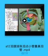 a12泪腺湖阜泪点小管囊鼻泪管.mp4