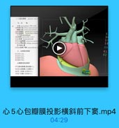 01(prricarimn) ( IN 11241
sojd EtjstM parieul luyer of periet
S7C RIEE visceral layer ef peris

S

MOEE(perfranlial onity)

5

自工心包新卖(idliqae josiranli
1 Haller
八、心的体表控彩

61
62

89左下点:
心福頓的体表投影
和工师动味海(韩动林口):
税上主动味期[主味味:)
他事二尖面(左瑞室口料
开果三尖聯(右房室日):

心5心包瓣膜投影横斜前下窦.mp4

04:29