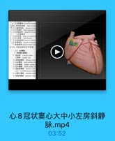 心8冠状窦心大中小左房斜静