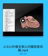 心9心纤维支架心内膜房室间