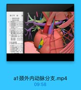 a1颈外内动脉分支.mp4