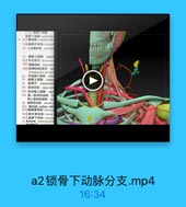 a2锁骨下动脉分支.mp4