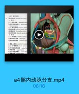 a4髂内动脉分支.mp4