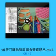 v5髂内外肾上腺睾丸肝左中右静脉.mp4