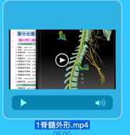 第十七章

第一节 脊
一,位置和外形
4r 脊醋 spinal cord
40 $# filum terminale
費蘭料址 conus med
50 5018 cervical enlar
51 歷雅特大 lumbosact
52[餐開]前正中製

ante
63[脊體]后正中沟
pOS

MOuLS

5[對蘭]前外例沟
[脊蘭]后外側沟
posl
G[算·]后中间沟
pos

47

57 9A cauda equina

48

5U脊霸节設 segments o

49

青健灰本 gray malte

1脊髓外形.mp4

06:00