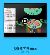 H 前角外侧精 posinmmedial
X篇(lasim X):

*85 薄東 fasciulus gracilis
416 模束 fasciculus cungee
*时 發購小脑后束 poslerioe
4品脊進小油前束 afierioe
B 脊體丘腸劑束 lateral sp
*90 餐體丘脑前束
antcrior s

WVXxx3

2. 下行纤维(传导)東

Wix3

WE CONG YEB.C

(1) 01 皮质脊髓例束 lato
02 皮质脊髓前束 ante

YGONGYYD.cam

03 前外側皮原脊萄東
(2) 94 红标脊關束 rubros
(3) 05 前庭脊健束 veatil
(4) 00 网状骨臨束 reticul
(5) 07 頂盖骨髓東 tectou
(6) 98 内側纵束 medial lo

5脊髓下行.mp4

06:23