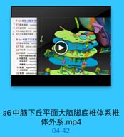 7-60-脑桥上部滑车
0 61 滑车神经 trochlen
◎ 63 蓝斑核 nucleus ce
0 64 小脑上脚交叉 dec
◎ 65 三叉神经中脑核 1
8-66-中脑下丘高度
62 滑车神经核 nicle
67 FE inferior collic
68 下丘臂 beachium o
69大脑脚 cerebral pe
中請导水管周围灰质
a 中脑頂盖 leclum o
顶盖前区 pretectal
四叠体 quadrigemnina
b 被盖 tegmentum
c 大脑脚底 crus ceT
70 黑质
substantia ni

a6中脑下丘平面大脑脚底椎体系椎
体外系.mp4

04:42