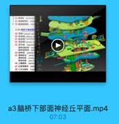 32 面神经 facial nerv
37 前寵锅神经 vestib

MWAN

7 35 前庭神经核 vesti

C

5-38-脑桥下部面神
39 顶核(lastigial nac

2

40 球状核(glnbose i
41 栓状核(embolifon

a

V

42 齿状核(dentate m

00

43 斜方体 trapezoid
謝研基底部
Pasil

e

[脑桥]被盖部 tege
44 脑桥核 pontine
45 面神经丘 facial c
展神经核
nacleus

S

面神经牌
genu of
46 上橄機核
superio
47 红核脊髓東
rubeo
48 三叉丘脑束 trigen

21

a3脑桥下部面神经丘平面.mp4

07:03
