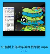 7-60-脑桥上部滑车
0 61滑车神经 trochles
63 蓝班核 nucleus ce
64 小脑上脚交叉 dec

S

65 三叉神经中脑格
8-66-中脑下丘高度

S

62 滑车神经核 nacleu

E

67 FE inferior collic
68 下丘臂 beachium o

2

69大脑脚 cerebrall pe

a

中國导水管周围灰质
社 中脑填盖 Sectum a
顶盖前区 pretectal

8

四叠体 quadrigemina
b 被盖 tegmentum
C 大脑脚底 crus cer
70 黑质 substantia ni

a5脑桥上部滑车神经根平面.mp4

01:27