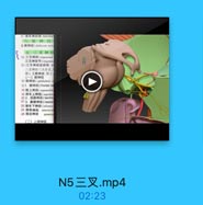 12 滑车神经核 nucleur
六,展神龄
6 展神经(alslarra mrtv
五、三叉神路
13 三叉神经(trigeminal
三叉神经节(triprmim
15|三叉伸经罐动核 m
三叉神经三大分支,
第1支眼神经,第二
(一)眼神经
16 限神经(ophthalmie r
171.额神经(frontal ne
18 驱上神经(supearhit
19 清车上神经(supratro
20 2.泪腺神经(lacrim
21 3. 鼻睫神经(nasoc
22 滑车下神经(infnatroc
23 站前神经 anerior ci
24 筛后神经

posterio
(二)上锁神经

N5三叉.mp4
02:23