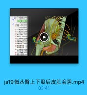 7 5.闭孔神经(obtun
8 6.生殖酸神经(ger
法、配
(一)低出的组成和
◎ 9 班丛 sacral plexu
10理低干lumbosacral
(二)低丛的分支
11 1.臀上神经(supan
12 2.智下神经[inter
133.股后度神经[po
14 智下皮神经 Anfcrio
15 M periseal bra
164.開部神经(puder
17红神经(直脑下神經
1会期神经 perineal
19開囊后神经 posterin
20 開基背神经 dor
阴蒂背神经 dos
215.坐骨神经(sciafi
歷掉经和維总神经
221)经神经(tilkial:
23 足底内侧神经(mnl

ja19骶丛臀上下股后皮肛会阴.mp4

03:41