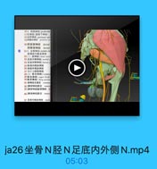 164、開部神经(pudenda
17红神经(直歸下神经)
18会阳神经 perineal ner
19间囊后神经 posterior sc
20 開基背神经 dorsal
朗蒂背神经 dorsal
215.生骨神经(sclatic ne
歷神经和腿总神整
22(1)服神经(tibial merve
23 足底内倒神镜(mdial p
24 足底外侧神经(latrral 1
25 服語内侧神经
26 群臨外侧皮神經
27 期合为料肠神經
2(2)加总神经(ccmmi
29 縣浅神经(super firial
30動深神经(deep peron
31 特神经交调支 commit
32[轉深神經]肌支 muCu
33[群潔神经]趾背神经
36[鮮浅神经]開支
37 足背內侧皮神經
medi

Fn

ja26坐骨N胫N足底内外侧N.mp4

05:03