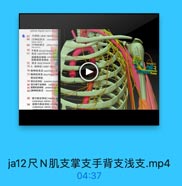 talmnar digital nerve df me
67
尺神母(ulnat nervs)[
[尺神经]開支 ms
ulror acrve
69

palmae hran

naar serve
70 F1 donal branch of
71 15 superficial branch
指掌侧总神经 omm5三1
指掌集图有神经 F料
72 M H decp branch

pC333

75 9.提神经(radial recve]
76 烧神经虎支 superficial hra
77 機神经深克 deop brinchi oC
骨興脂神經
79 超质神经 posterior hrachi
ND 青外侧下麦神經 infiariar la
B1 前官后波神经 posicriar ag
82[晓神经]肌支 mcular2
83 H內倒皮神證[modal bat
cutaneous nerve) (Cl.
64 前背内侧皮神经[meda
cutaneous nerve) (C)

ja12尺N肌支掌支手背支浅支.mp4

04:37