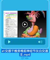 第三节 内脏神经系统
,内脏运动神经
1 内班活划神经(visrra metnr nerve)
(一)交腦神经
1. 交感神场概观
: 交感抽经(symparhetic nerer)
s节前排经元(pereanglonic nrunn)
特后神经元(jmslgangliunie swairon)
节前纤罐(prerpinglianis fihee)
节后纤据 poslganglionie fiber
0 交感排控节 symputhetigonglicmn
7交感干沖经节(goglin of eymputlutir
也券杜有拍经节(pinvenebml gangtia
1 交略干(sympathetio trank)
也称交感征(sympatietie chain)
4 节阅堂(inaerganglonie brnees)
2推前经节(ptevertehml aaglis)
交通支( r:namniiew.ing waache)
7白交通支(white comimanirating branr
东交通克[pey oamanaairating branches
n 交易神经节部纤班 3年去向;

a1交感干椎旁椎前神经节灰白交通
支.mp4
07:44