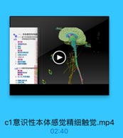 一、本体感觉传导通
一】赵干和四程意识性本体
ab

和精细触量传导选場

有神经节细图

2
1樹車
薄東核和夜集装
5 我画正系交叉
6 内国に系
第3種
7 服际外侧核
著 五能中央場射
cd(二)非意识性本体感觉作导
第工级
0神经节信教
第2
9 G-h节立南機
10 春第小基后束

c1意识性本体感觉精细触觉.mp4

02:40