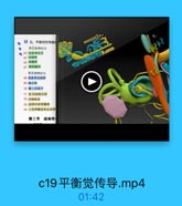 し

M五、平衡觉传导通生

wxxx33>

第王级神经元
● 64 前庭神经节

皖A2A2

65 查型時

公乐3

66 球電氏
67 研因囊班
第2城神经元

ral

68 前庭神经核群
69 顆后核
70 颐上回前方
71 限取前庭复射
72 内侧纵束
73-神经核脊制部
74 上段颈髓前角运动神
第二节 运动传

c19平衡觉传导.mp4

01:42