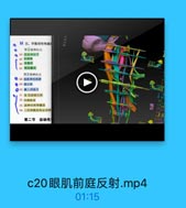二出七告

M 五、平衡觉传导通室
第1壢神经元
● 64 前庭神经業
65 愛型時
66 球囊班
67 熊間囊班
第2级神经元
D 6B 前庭神经核醇
●69 限后核
●70 颗上回前方
71 眼新前車反射

12

72 内倒纵束
73 副神经核脊開芯

15

74 上段务鮪前角运动神

16

138

第二节 运动传

c20眼肌前庭反射.mp4

01:15