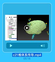 第二节 运动传
一、推体系
75 上运动神经元 upper
-76 下运动神经元 kower
锥体束 pyramidal trac
皮质脊糖末 corticospi
皮质核束 corticonu
77.(一} 皮质脊乾束 cor
78锥停交叉
79皮质脊简前束 anterin
80皮護食隨侧東 lateral d
81前外側皮质脊圍束
82:交叉前受损
83交叉后受损
84[二)皮历核東
A.5 核上座
9 核下律
1.下运动神经元损伤

c21椎体系传导.mp4

05:14