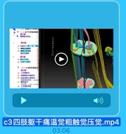 e

〔一)報不和四融衛温觉
第1级
管拌经节坦题

第2城
15 育销东民第Ⅰ、置~運层
17 管電丘臨侧束
8 脊隨丘脑前家
護后外到核,
第3级
19 限后外骨格
20 丘剪中央餐社
f

(二)头面部的痛溫觉
第1级
22 三文神经下
23 舌制神经上神整节
24 张走拌经上神经节
[送走神堡]耳支 airicula
25 格神经节
出大神址 giealer pelroal
三叉持最脊果

c3四肢躯干痛温觉粗触觉压觉.mp4

03:06