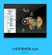 - 50項盖商描来 Sctchulhar
S1动製拌经影桃
再侧豬孔缩小
J 分售入中断
k S3 传出中断
L 四,新觉传导通路
34第1级 隔神经节
45

56-第2世 期度钢核和辆非售板

53

新真体
张萬丘系
59 第支级 下上
60 第蛋线 内侧味状体
新里区(wditary urrs

M五,平衡觉传导通路

556

第I場神格式
64 首庭神经节
5 查預崎

c18听觉传导.mp4

04:01