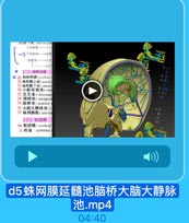 2o TrWlmerigr pe1
上火北实

Tn0.A:333

)下矢代第一歡號

M.ogr383

4龙2지が

1 31

(二)脑味网膜
◎ 29 信蛛网膜(cerebbral
30蛛网膜小業(araehrir
31 蛛网膜下池(sabanc
32小脑延髓池(cen
33 交叉池(chiasmat

1 27c

34 脚间池(interped
35 脑桥池(pontine·
36 大脑大静脉池(c

21 31

37 蛛网膜粒(arachn
(三)软脑膜

33

38 軟脑膜(cerebral
5 終池
terminal

d5蛛网膜延髓池脑桥大脑大静脉
池.mp4

04:40