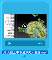 51 2)迷路动脉
52 3)脑桥动脉
53 4)小脑上动
54 5)大脑后动
55 3. 大脑动脉
(二)脑的静

w0xx333

0
●1.大施外静用

l3ccm

564(1)c大脑上青
上吻合都
57、(2)大脑下青
下吻合前
(3)大脑中青
58 大脑中深静肺
大脑前静酥
基底静脉 ba
59 大脑中浅静脆
60 2. 大脑内静用

d8大脑上中下浅深内大静脉.mp4

04:31