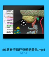 飞.基底静脉 ba

59·大脑中浅静脉
60 2.0大脑内静話
· 61 大脑大静脉(
·二、脊髓的
(一)背體的
48脊髓前动脉(
脊髓后动脉(P
(二)脊髓的
第三节

用
62 脑脊液(cerebt
脑脊液循环途
1藝叶底内側动
2額极动味 fta

d9脑脊液循环脊髓动静脉.mp4

02:37